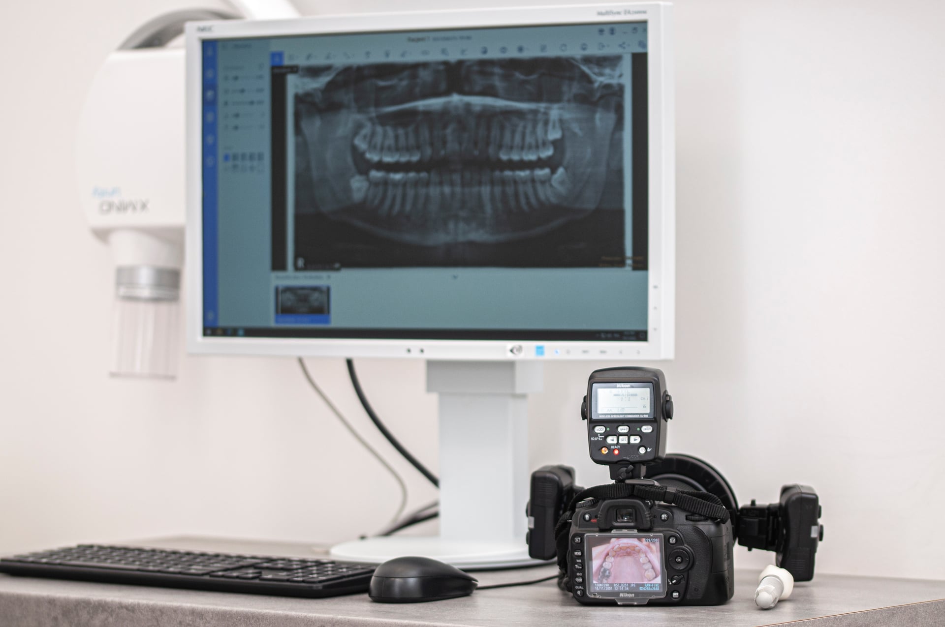 Pandemonium Software